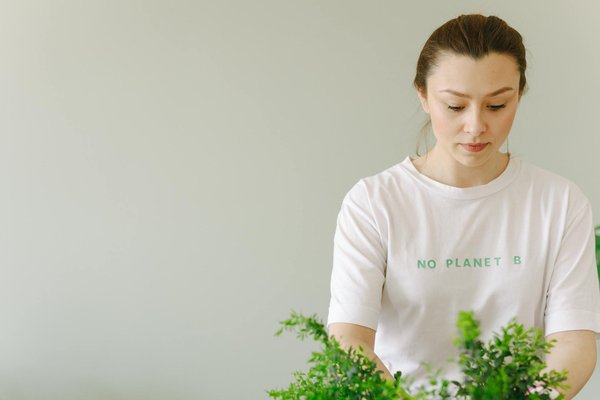 Guide Pratique : Comment Installer un Système Efficace de Collecte des Eaux Pluviales dans Votre Jardin